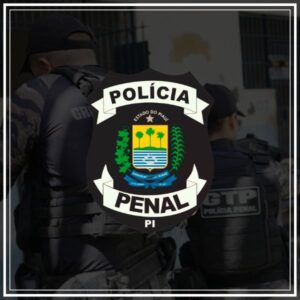 pacote de simulados concurso pppi 2024 policial penal