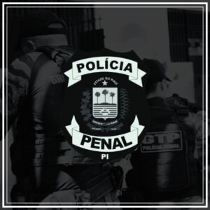 pacote de simulados concurso pppi 2024 policial penal finalizado