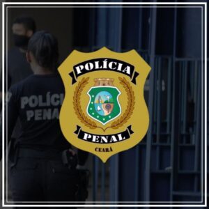 pacote de simulados concurso ppce 2024 policial penal