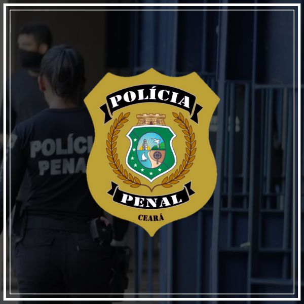 pacote de simulados concurso ppce 2024 policial penal
