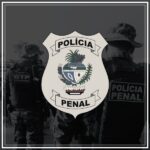 pacote de simulados concurso ppgo 2024 policial penal finalizado