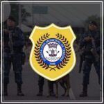 simulados concurso guarda municipal de teresina 2024