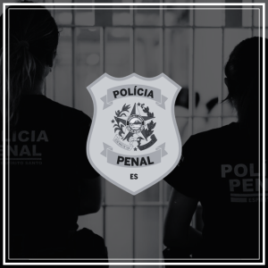 simulados concurso ppes 2025 policial penal finalizado