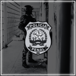 simulados concurso ppmg 2025 policial penal finalizado