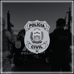 simulados concurso pcpi 2025 oficial investigador finalizado