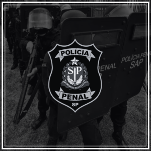 simulados concurso ppsp 2025 policial penal finalizado